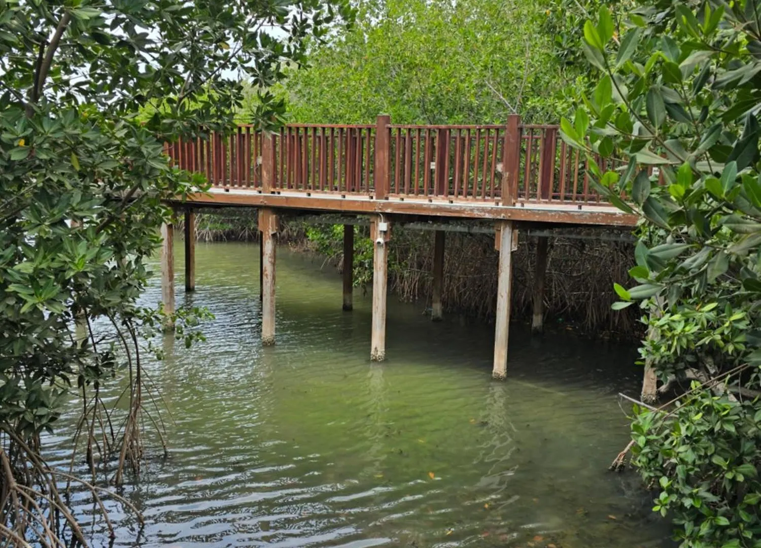 Hotel Los Veleros Santa Marta
